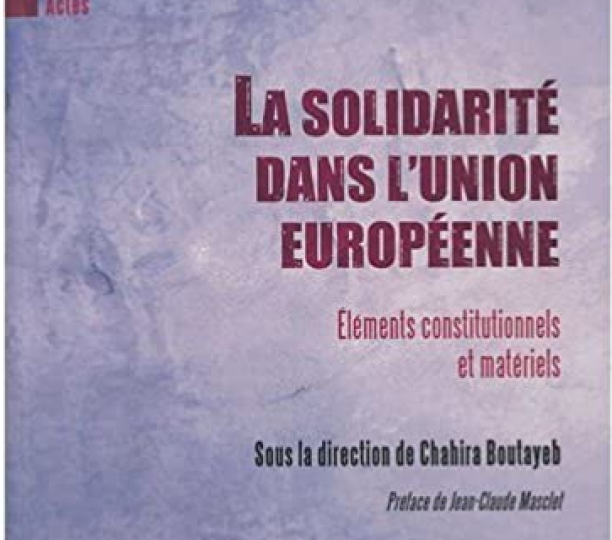 La solidarité dans l'Union européenne